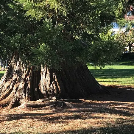 شقة Small فرودنستاد