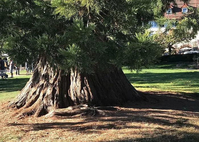 アパート Small フロイデンシュタット